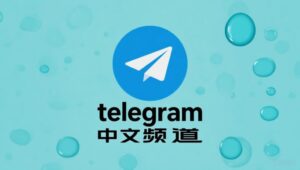 最全 Telegram 中文頻道加入教程